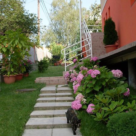 Hotel Eden Vendeghaz Miškovec Exteriér fotografie