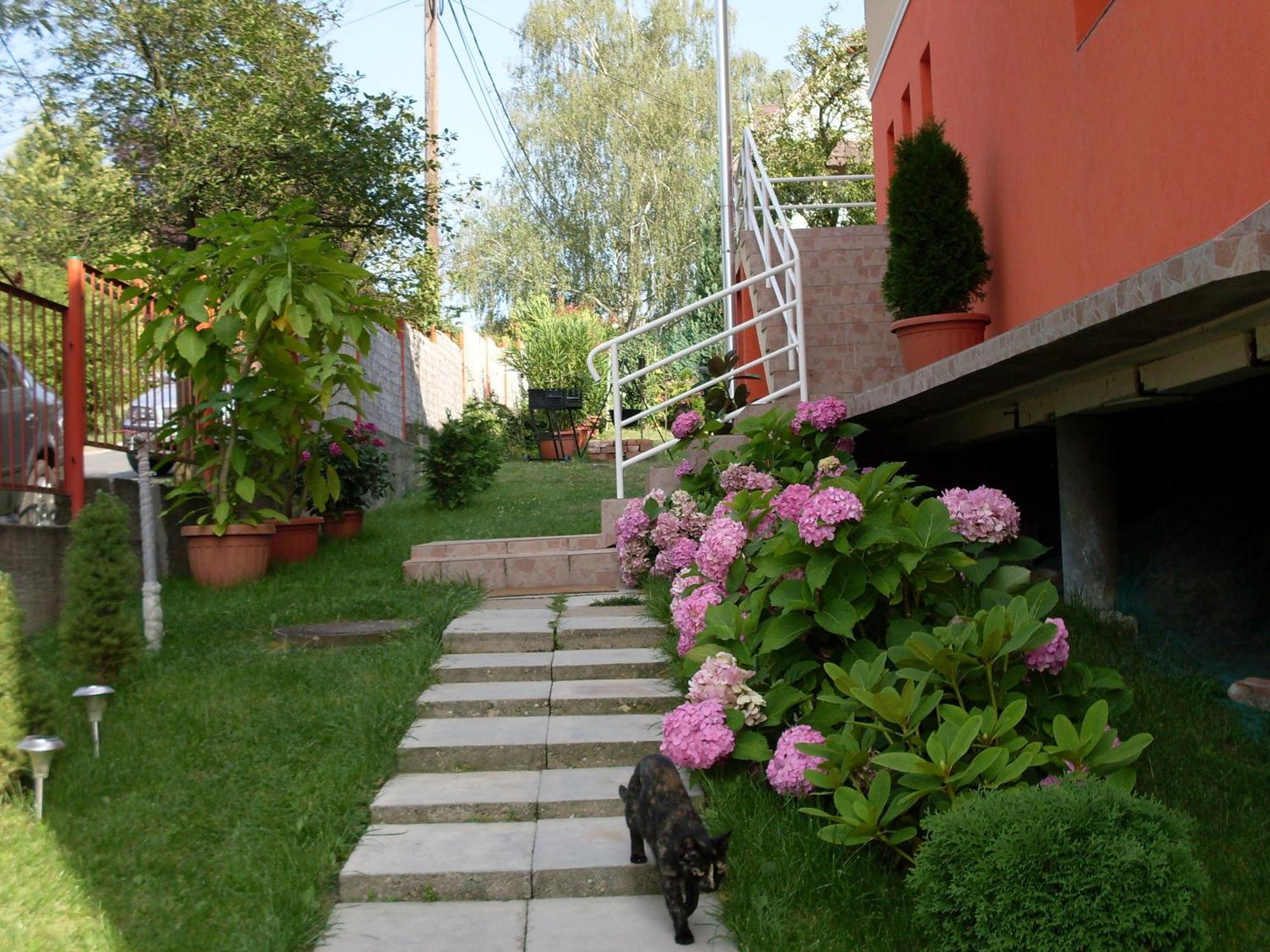 Hotel Eden Vendeghaz Miškovec Exteriér fotografie