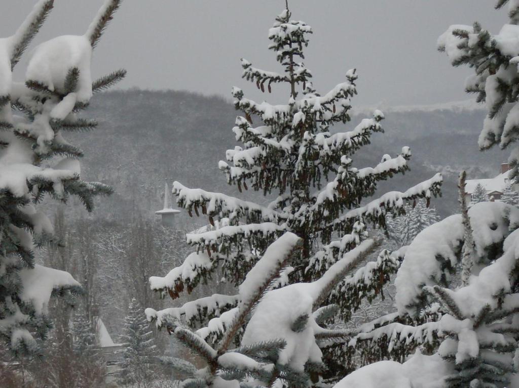 Hotel Eden Vendeghaz Miškovec Exteriér fotografie